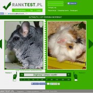 ranktest2.jpg